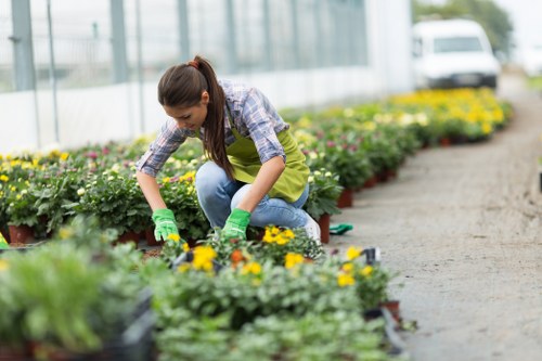 Gardener inspecting a well-kept residential garden