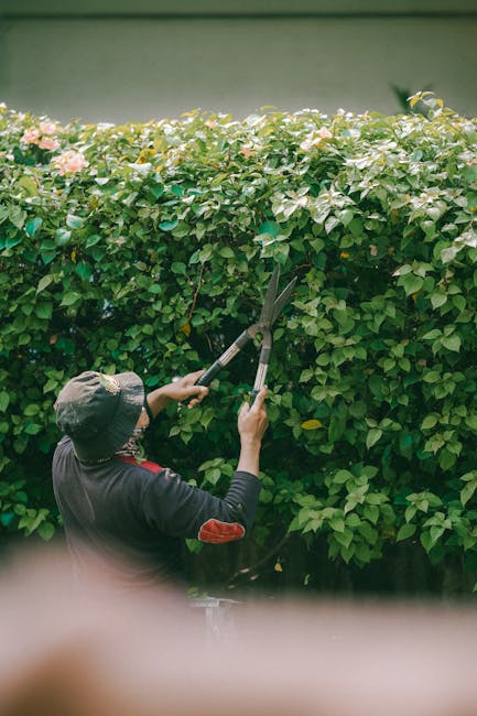 A person is pointing at a digital screen displaying appointment schedules related to garden maintenance services in Islington, with rows labeled 'AVAILABLE' and 'NOT RESERVED' alongside red 'UPDATE' b